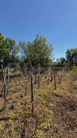 Casa cu teren 1100 mp și hala în curte, sat Cârbești