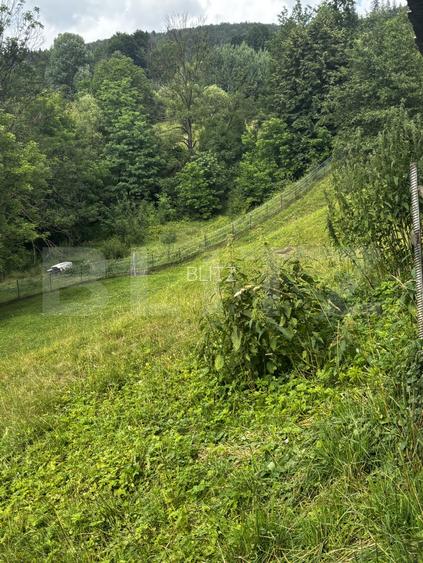 Teren intravilan de vânzare, 6500mp + o casă bătrânească, în Voroneț - 4