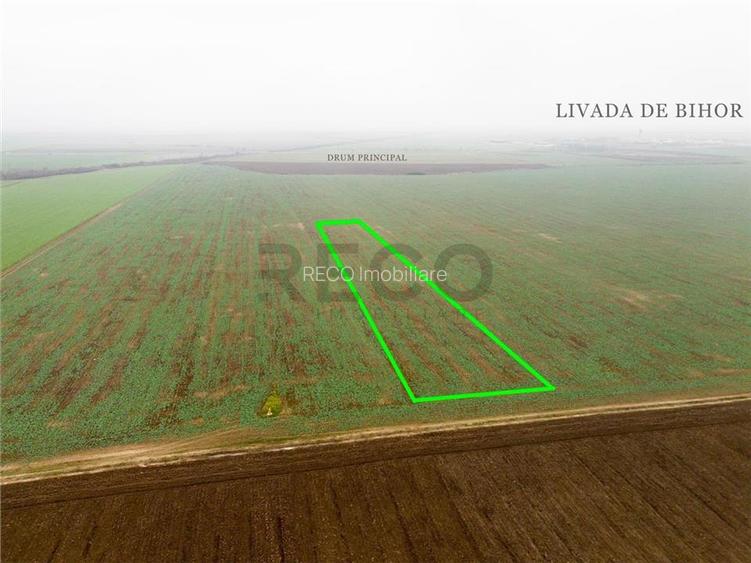 RECO Teren extravilan 5800 mp Livada de Bihor - 3