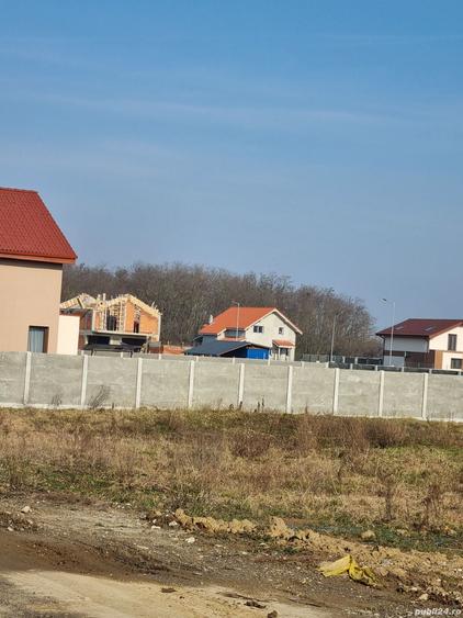 Teren de vanzare, Ghiroda, zona padurii Bistra