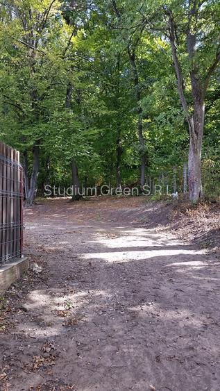 proprietar vand teren extravilan FELEAC - 3