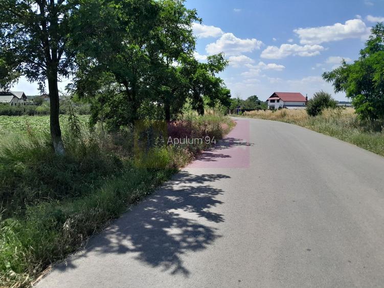DE VANZARE 2 LOTURI LIPITE (TOTAL 16.500 MP) IN SAT TEISORI (GR) - 4