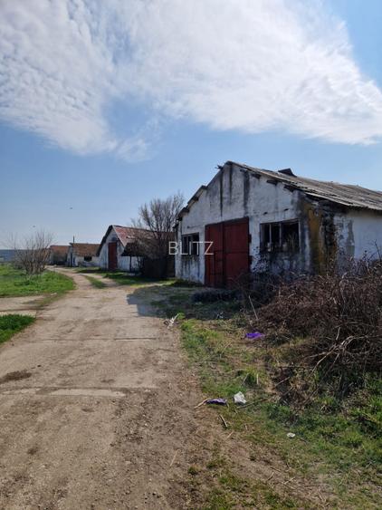 Fermă de vânzare 8 ha – Balș, județul Olt - 4
