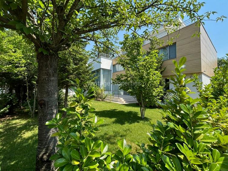 Luxury villa, Cambridge School, Iancu Nicolae area - 19