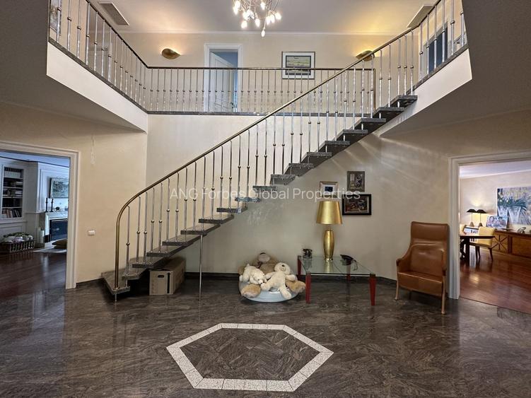 Vila individuala, teren 3000 mp, Iancu Nicolae - 23