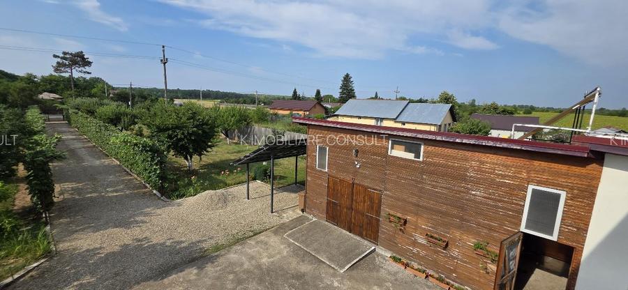 Ciopani vila 5 camere teren 4000 mp - 44