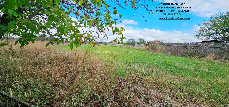 Proprietate Roznov,casa+anexe+teren 3630 mp - 12