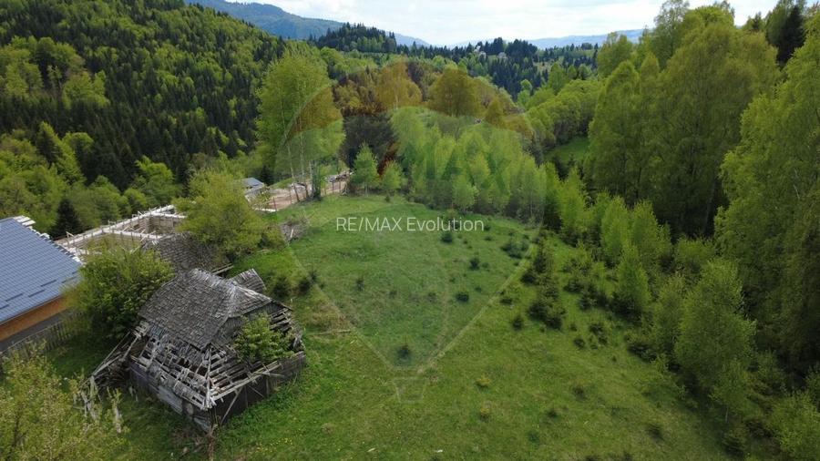 Teren 38,704mp Sirnea | 2.000 mp Intravilan | 36,704 Extravilan - 9