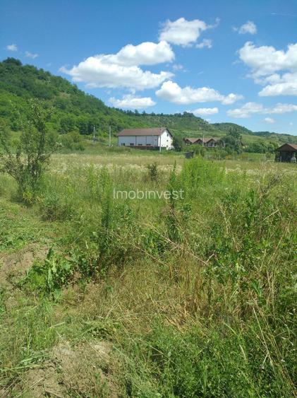 Vand teren intravilan Livezeni,900mp,drum privatla 100 m de strada principala. - 2