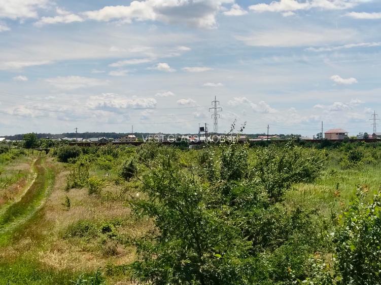 Teren intravilan,orasul Pantelimon,strada Plantelor si Gradinarilor - 9