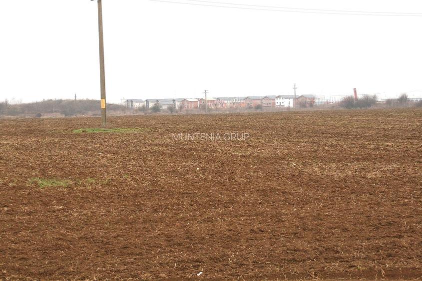 OTOPENI - Str. Drumul Garii Balotesti, 42100 mp. teren intravilan - 5