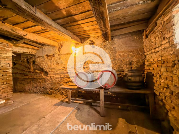 Casă pe 1 nivel | Selimbar | Curte | Filigorie | Garaj | Gradina | Pivnita - 22
