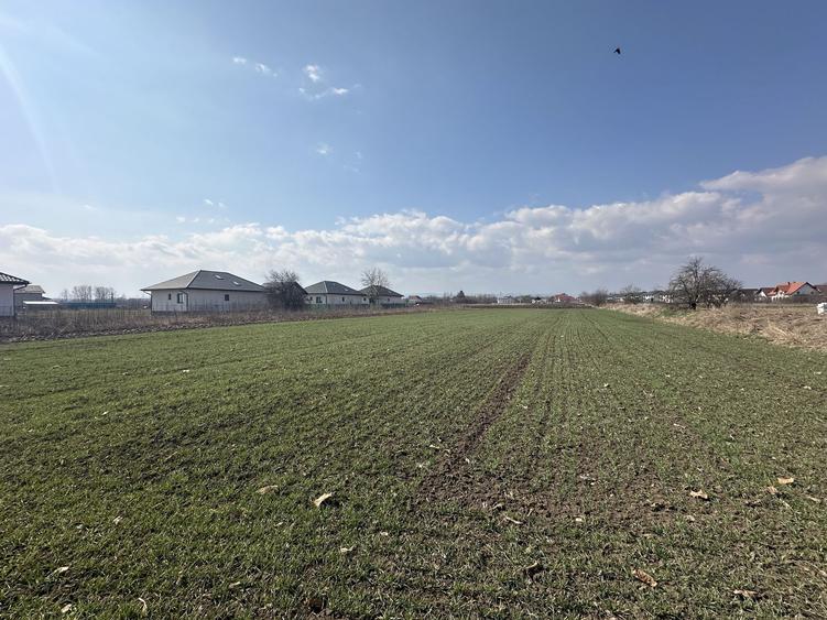 Teren intravilan 20 ari | Rădăuți | Front stradal 19.49 m