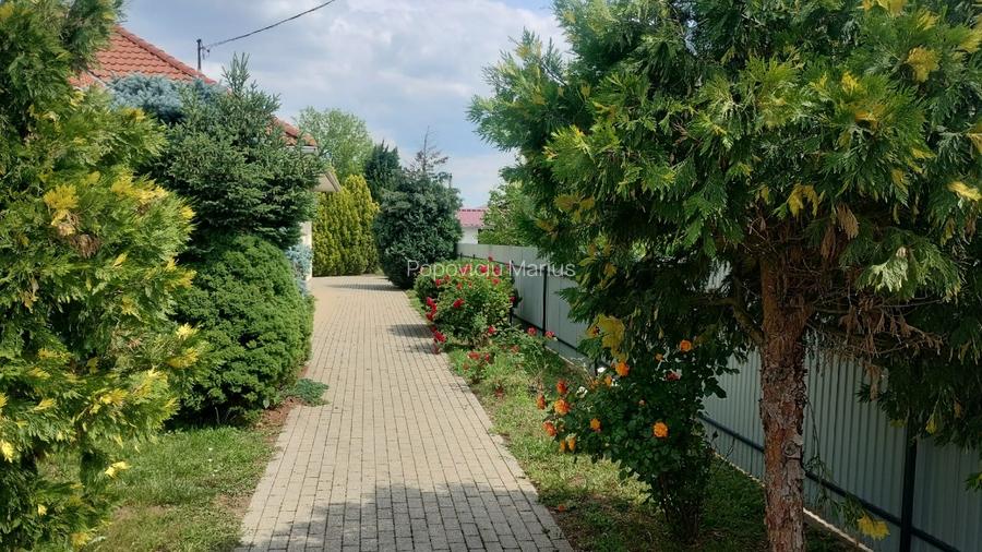 Casa 3 camere la Elek, langa Gyula, Ungaria - 5