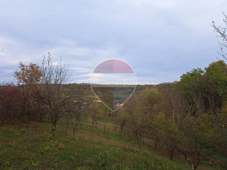 Teren intravilan 3500mp | Cotofenesti, Prahova - 7