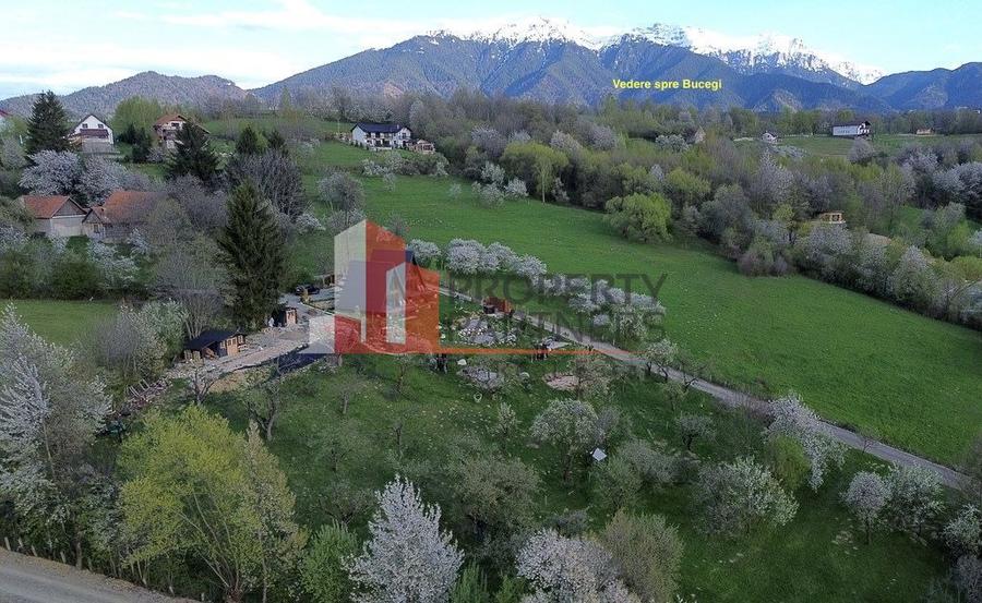 2 A-Frame | Bran Sohodol| 2 cabane | Teren 3.812 mp | Operațional |