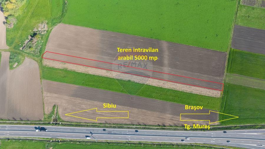 Teren intravilan, 5000 mp, Stupini, str Pomiculturii