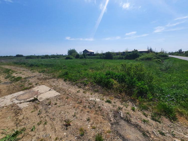 Teren intravilan la intrare în Vetiș – 12.216 mp