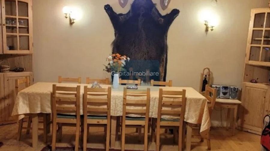 Proprietate Unică în Inima Naturii – Galaoaia, Mureș  - 8