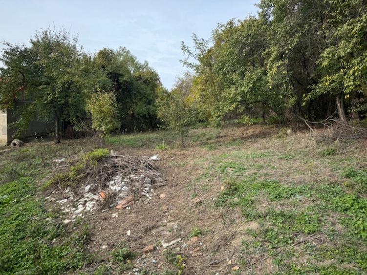 Pitesti-Stefanesti-Crama Stefanesti teren de vanzare Comiaion 0