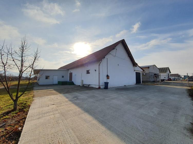 Hală de închiriat 600 mp | Teren 2.000 mp | Acces TIR | Pianu de Jos
