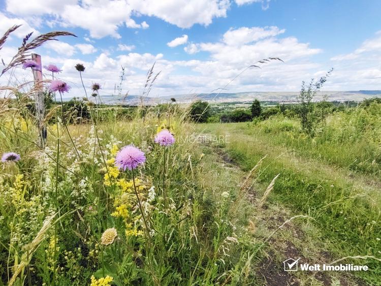 TEREN PENTRU REFUGIUL TAU IN NATURA - BORHANCI - 7