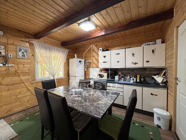 Casa din lemn, zona muntoasa, cu rau, la cheie, Ribita, Hunedoara