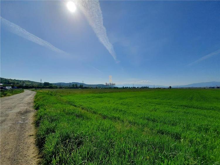 Teren Sibiu - Calea Surii Mari - 4500 mp