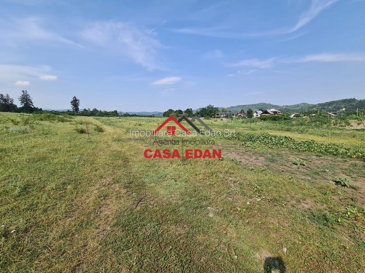 Teren intravilan in Campina, 7500mp--35e - 9
