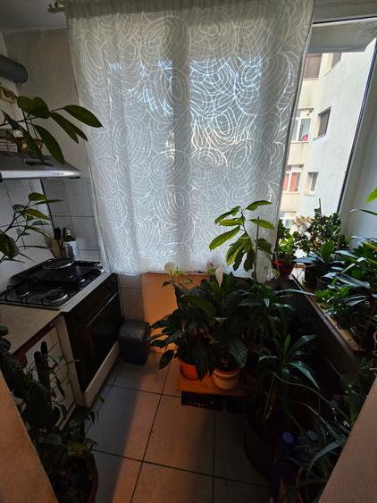 Apartament 2 camere | Băneasa | Decomandat | Etaj 2/4