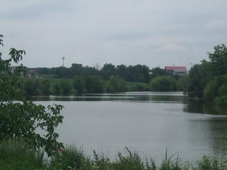 Proprietar - Teren Corbeanca - Suprafata 13.124 MP - Ideal Investitie