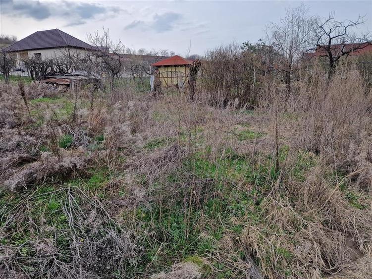 RECO Teren intravilan in Oncea, str. Prunilor