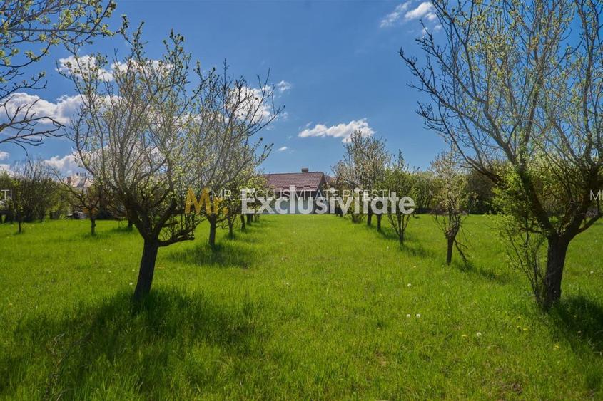 Casa Valea Mare Pravat (Campulung-Arges ) - farmec interbelic