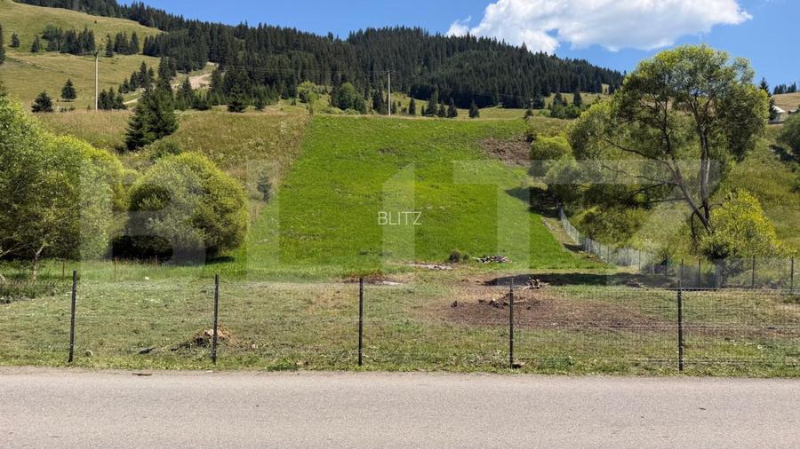 Teren extravilan,  5 hectare, Șaru Dornei - 4