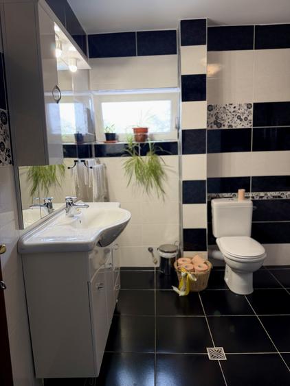 Vila /Casa cu potential in Faget ,510 mp utili