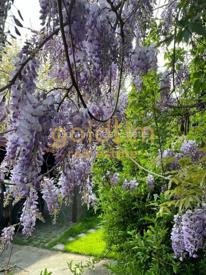 CASUTA DIN POVESTI/CURTE 1100MP/GRADINA MAGICA/SAUNA/PISCINA/SNAGOV - 35