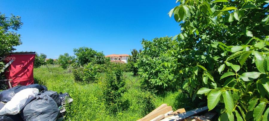 Lot pentru două case – Corbeanca Tamași - 19