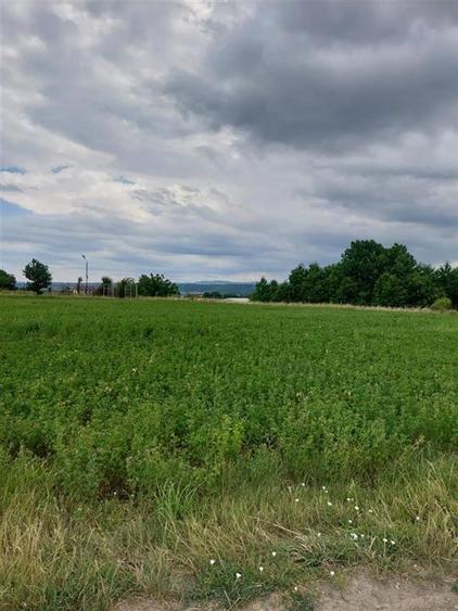 Teren intravilan de vanzare in Tg Trotus