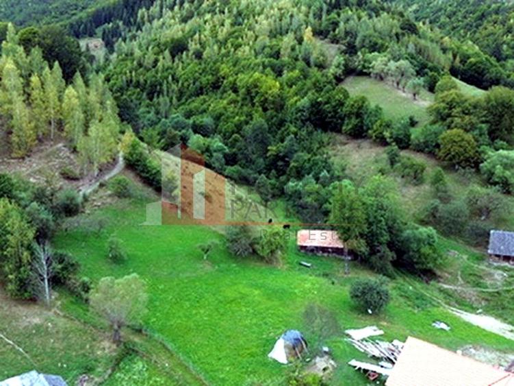 Teren de investiție în Moieciu, lângă Castelul Bran – 11.381 mp, vedere Bucegi