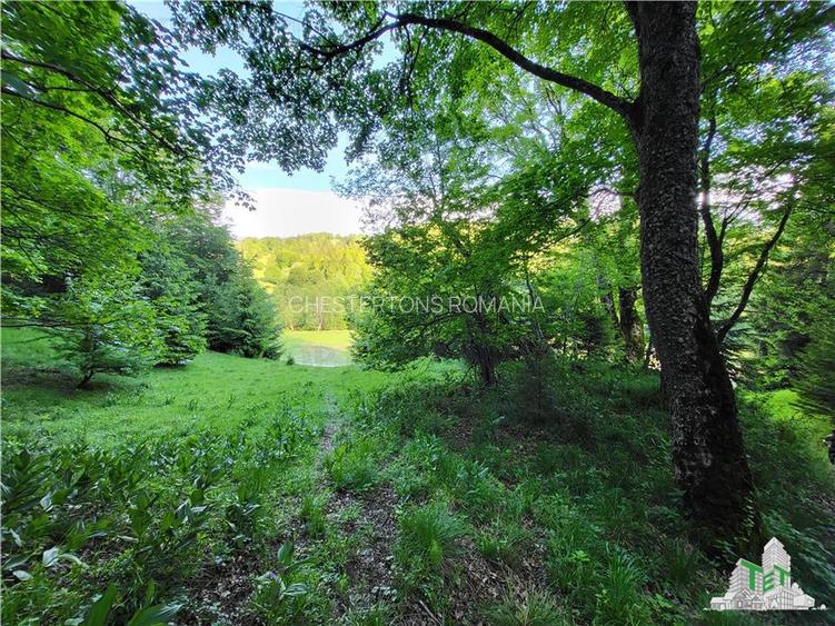 Teren Intravilan 12000 mp, Cascada Urlatoarea- Vama Buzaului, proiect aprobat pe - 14