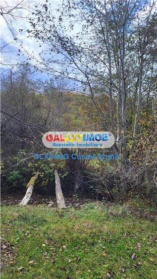 Vindem teren 20000 mp Cheile Rasnoavei - Brasov , pentru case vacanta - 11