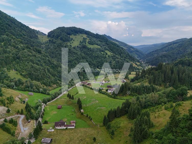 Teren de vanzare RUCAR -   ARGES - 5