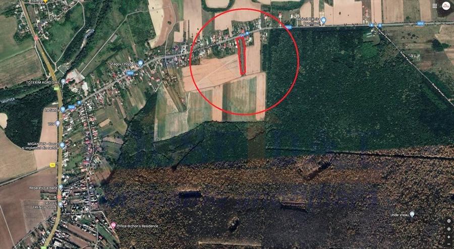 Vanzare teren intravilan Ciolpani, 1500 mp, toate utilitatile