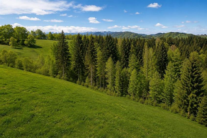 Bran Mountain Retreat – Doar 3 vile exclusiviste în inima Branului