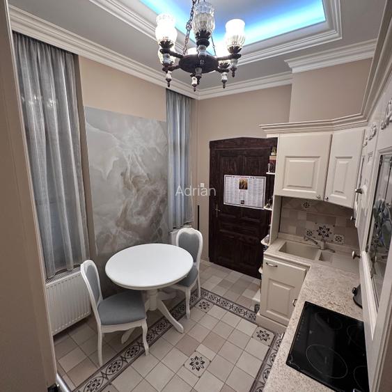 Zona centrală lux,3camere vedere Canalul Bega - 9