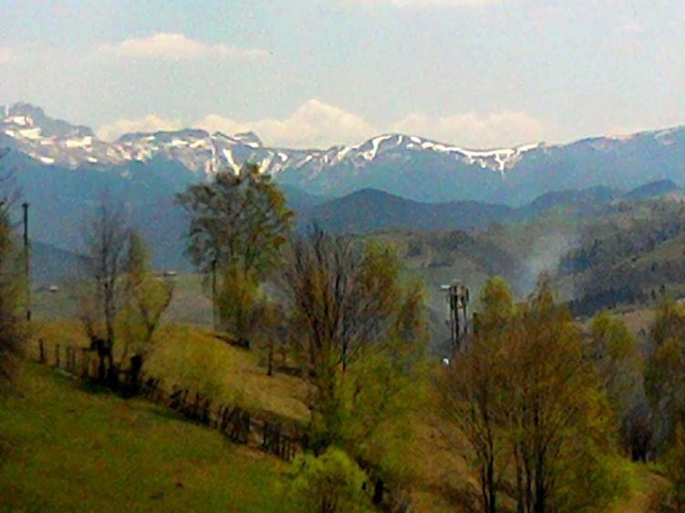Teren intravilan in zona Magura Bran