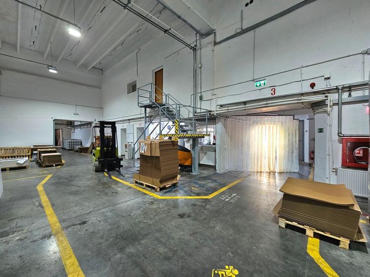 Hale Industriale 5065 mp de vanzare Str. Bradului - Bacau