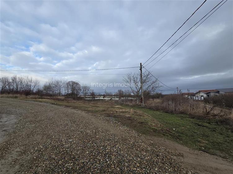 Teren intravilan,dublu front,Paleu,Oradea,Bihor - 4