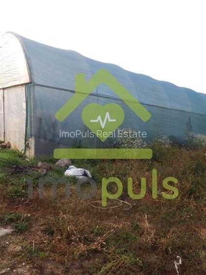 🗺️ Teren intravilan in Jupani (Timis), 10,19 Euro/mp.✨ - 5