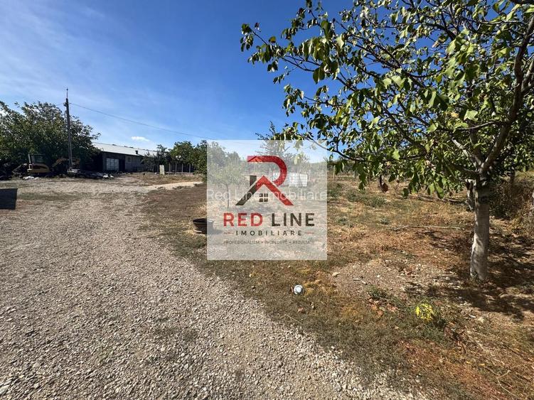 Proprietate de 9.881mp în Dudașul Schelei – Ideal Agroturism sau Fermă - 12